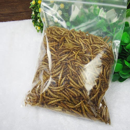 mealworm applications