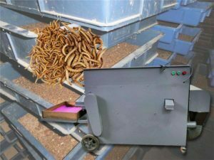 mealworm(barley worm) sorting machine