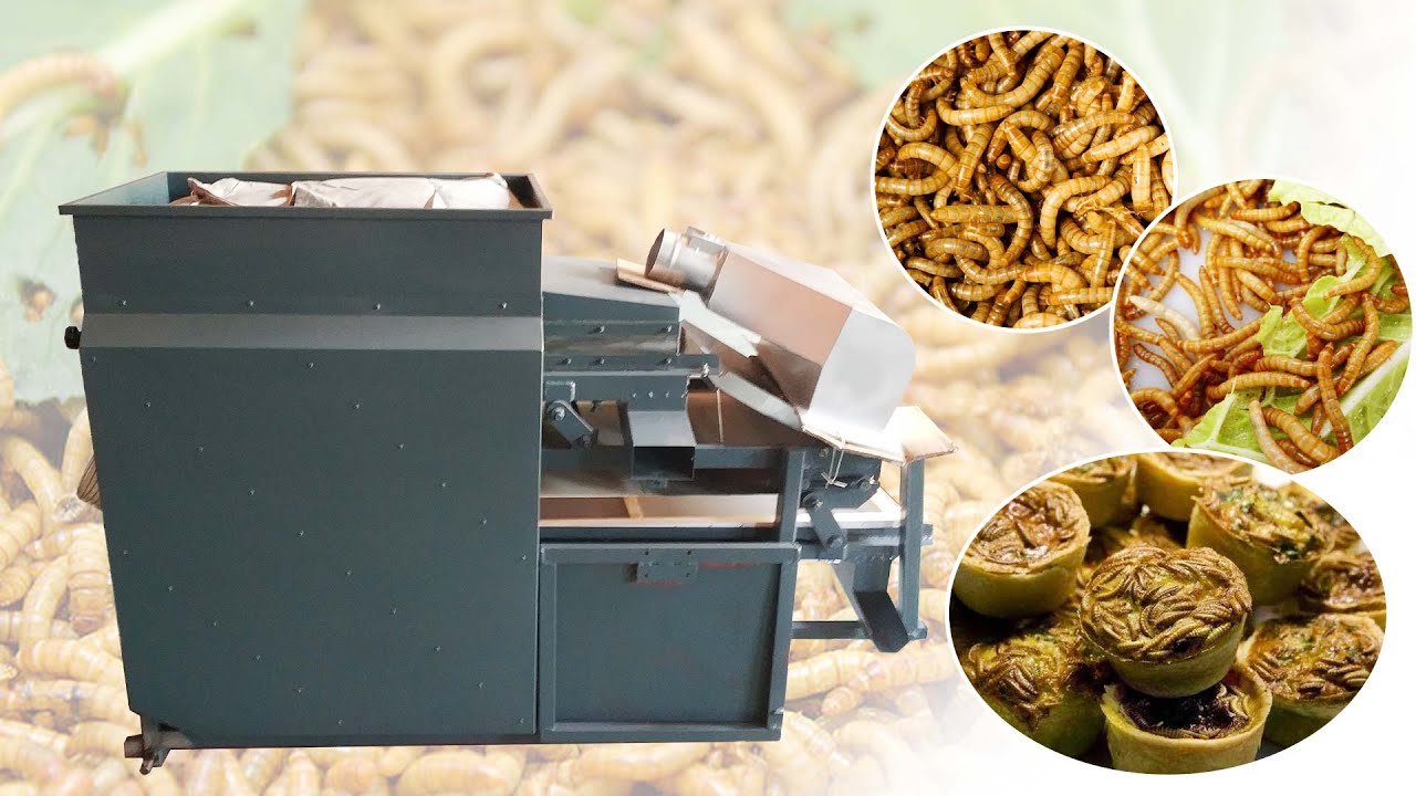 Mealworm Separator Machine